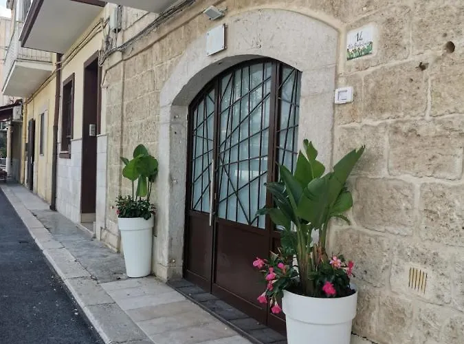 Giusvinci 3* טרני